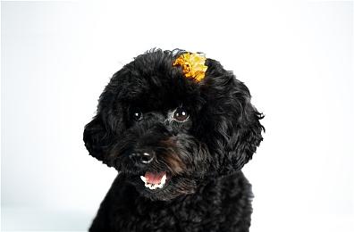 功夫游戏《师父》下载文件体积曝光 约7.5GB